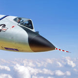 F-106 Delta Dart 318th Nose