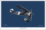 Fokker D.VIII