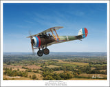 Nieuport 28