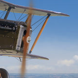RAF SE5a Nose