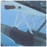 AR 196 Detail