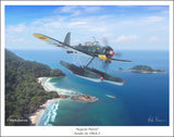 Arado Ar 196A-2