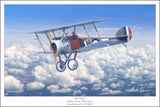 Top Fighter by Mark Karvon
