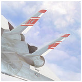 F-14 Tomcat Tails