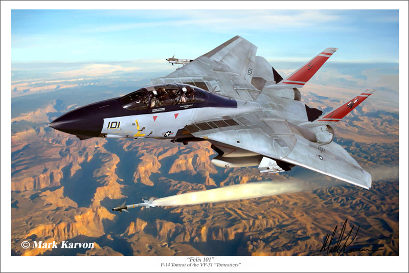 F-14 Tomcat - 