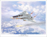 F-14 Tomcat