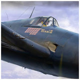 Hellcat Cockpit