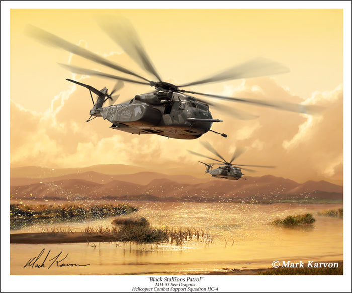 MH-53E Sea Dragons - 