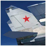 MiG 25 Tail