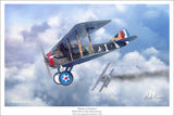 SPAD XIII by Mark Karvon