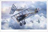 Duel of Canvas Falcons by Mark Karvon
