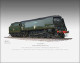 Tangmere Locomotive