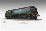 Tangmere by Mark Karvon