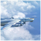 Tu-95 Bear