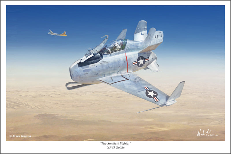 スポーツ PLANES XF-85 Goblin - 