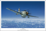 Fairey Gannet AEW.3 by Mark Karvon