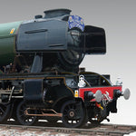 Flying Scotsman Nose