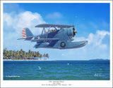 J2F-5  Duck