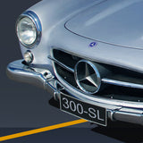 Mercedes Benz 300 SL Nose