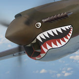 P-40K Warhawk Nose