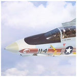 F-14 Tomcat Nose