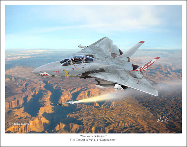 F-14 Tomcat - 