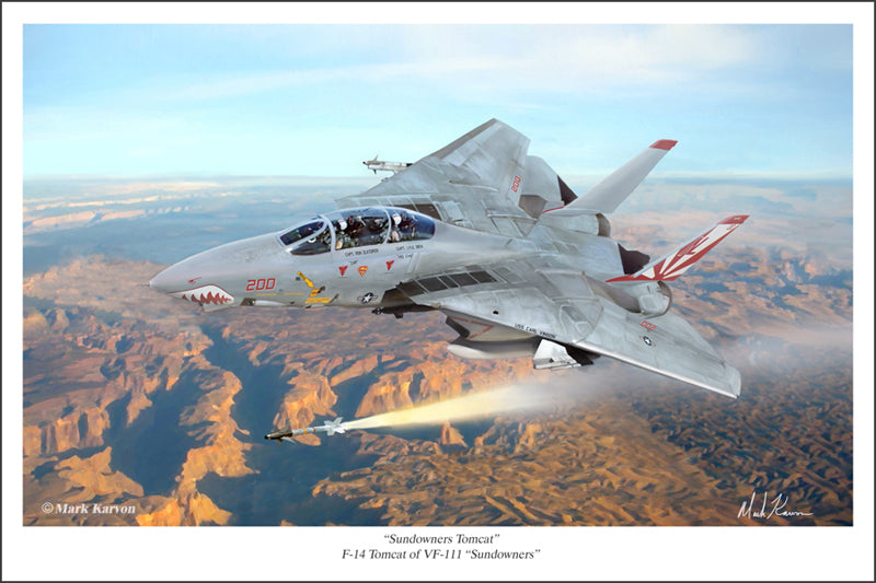 ドラゴン 1/72 F-14A TOMCAT VF-111 SUNDOWNERS Witty WTW72009-18 - F-14A Tomcat Diecast Model, USN VF-111