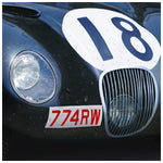Le Mans Winner C-Type 1953