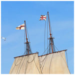 Mayflower Flags