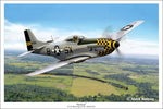 P-51 Mustang - "Slybird"